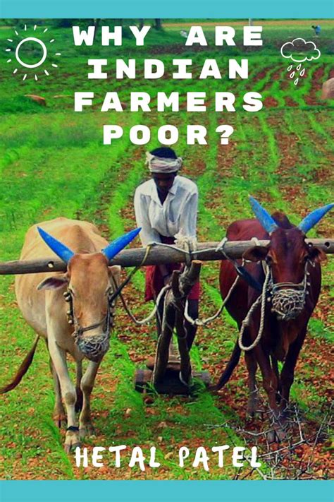 The opposition parties are rallying in support of the farmers. Why are Indian farmers poor? - The Flabbergasted Indian