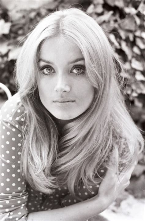 Pelo de 1960, look de cabello, peinado años 40, belleza de época, peinados retro. Barbara Bouchet Pictures in an Infinite Scroll - 321 Pictures