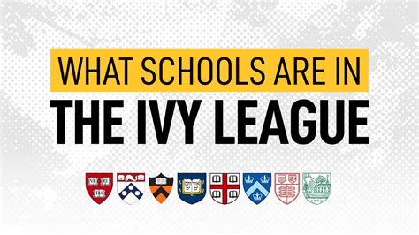 What Are The Ivy League Schools Point Avenue Thailand