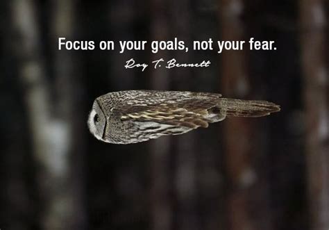 Focus On Your Goals Not Your Fear Roy Bennett Undeniable
