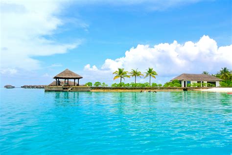Resort Beach And Ocean Landscape In The Maldives Image Free Stock