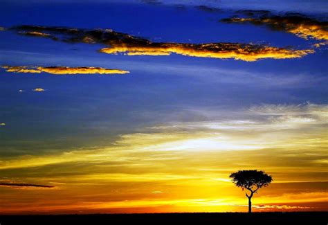 Africa Wallpaper Sunset