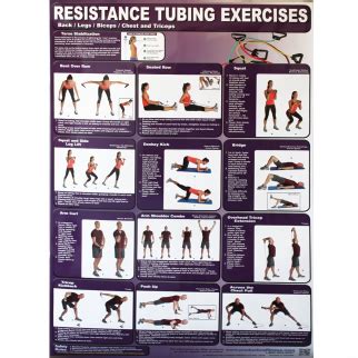 Productive Fitness Poster Series Basic Advanced Functional Trainer Laminated Set Art Seihan