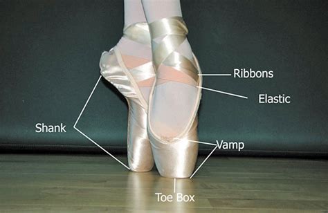 Anatomy Of A Pointe Shoe Danceline