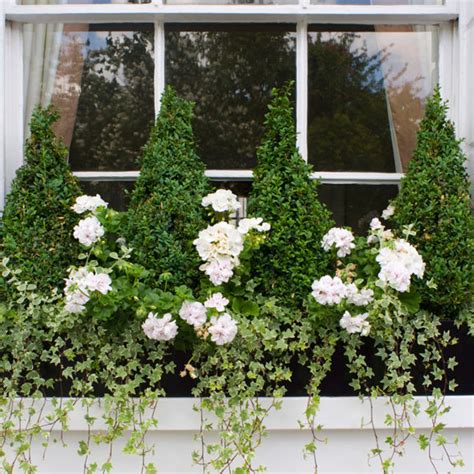 Apr 29, 2013 · small window boxes won't stand out in an obvious fashion, instead providing a subtle space for gardening. Window box ideas: 13 colourful gardening ideas for window ...