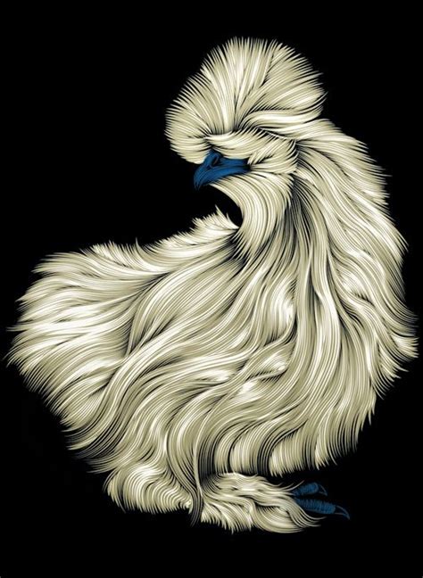Amazing Digital Illustrations 27 Chicken Illustration Illustration