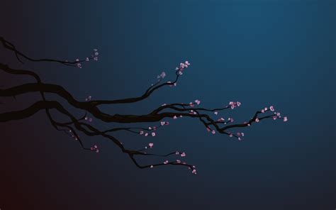 2560x1600 Sakura Branches On Blue Background — Postimages