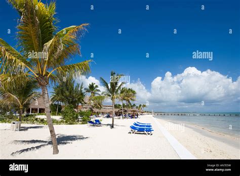 Beach Outside Hotel H Hacienda Maya Riviera Maya Yucatan Peninsula Quintana Roo Caribbean