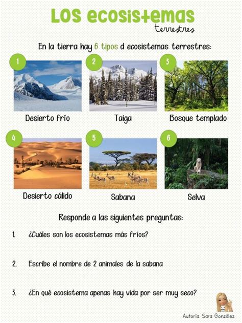 8 Tipos De Biomas Terrestres Caracteristicas Ejemplos Y Fotos Images