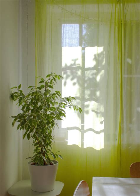 What Color Curtains Go With Green Walls 18 Ideas