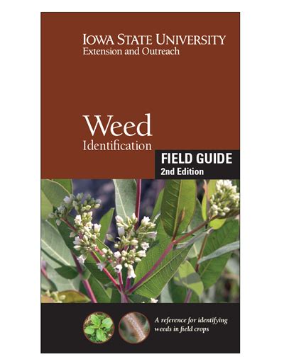 Weed Identification Field Guide Nd Edition