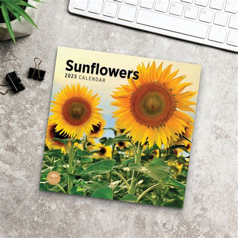 2023 Sunflowers Wall Calendar By Bright Day 12x12 Inch Etsy