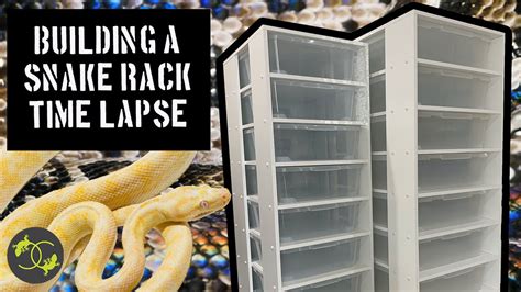 DIY Snake Rack Building A Snake Gecko Skink Rack In Time Lapse