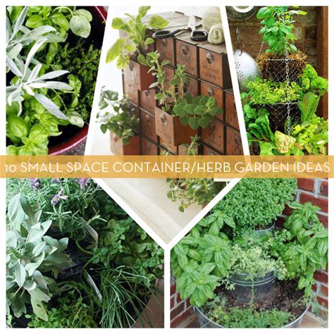 10 Small Space Container And Herb Garden Ideas Curbly