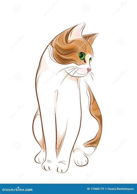 Portrait Of Ginger Tabby Cat Cartoon Vector 17468179