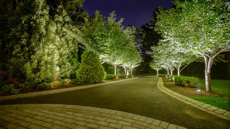 An allee of pear trees line the entry drive photo of a traditional driveway in new york. Elegant Landscaping, Stone, and Lighting, Harding Township ...