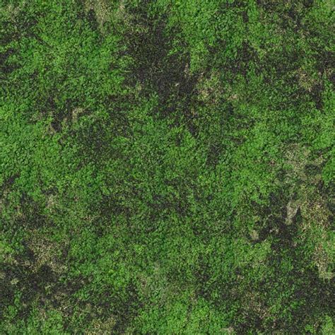 Jungle Grass Texture