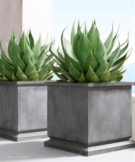 See more ideas about ceramic pottery, ceramics, pottery. Restoration Hardware catalog | Rustic landscaping, Plants ...
