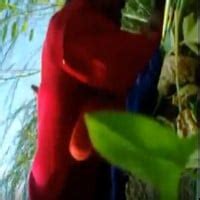 Tamil Couples Outdoor Sex Video To Tempt Your Sex Mood Fsi Blog