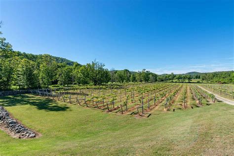 Brook Farm 9 🍇 Wineries And Vineyards For Sale
