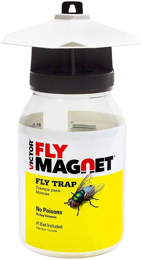 The 7 Best Fly Traps Of 2022 By The Spruce