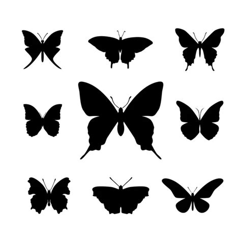 Silhouettes Of Butterflies — Stock Vector © Greenvalley 33773411