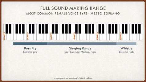 Find Your Vocal Range And Voice Type Test Vocal Nebula