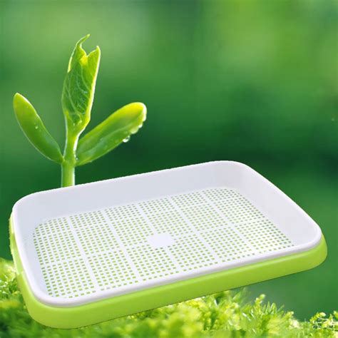 Vegetables Sprouts Seedling Tray Sprout Plate Hydroponics System To