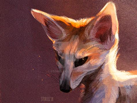 Fennec Fox By Storiel On Deviantart