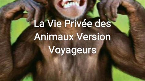 La Vie Privée Des Animaux Streaming - LA VIE PRIVÉE DES ANIMAUX VERSION VOYAGEURS - YouTube