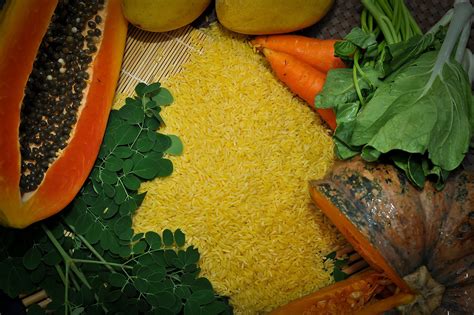 Philippines Approves Golden Rice For Direct Use As Food And Feed Or For Processing