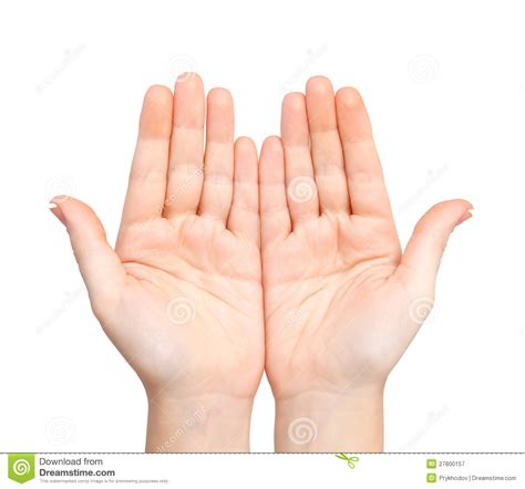 Female Hands Palms Held Subject Royalty Free Stock Photography Image