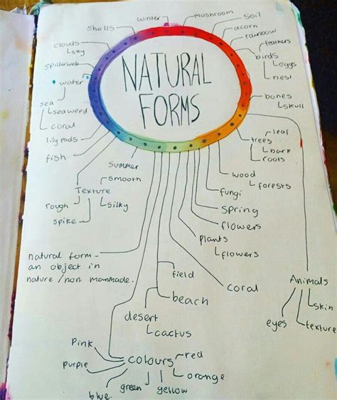 Mind Map Of Natural Forms Mind Map Nature Art Gcse Art Gambaran