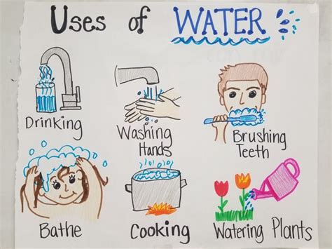 Learn how to make drawing on save water save earth easily and step by step, thanks.please like and subscribe. Uses of Water, 1st grade TEKS, Anchor Chart | Water theme ...