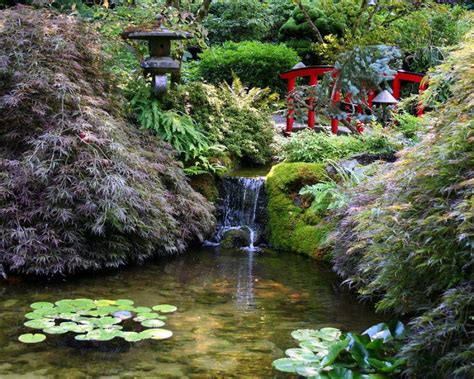 Gardens have evolved into a variety of styles with different purposes, including strolling gardens for the recreation of edo period lords and dry stone gardens for the religious use by zen monks. 50 Ideen, wie Sie japanische Gärten gestalten - Garten ...
