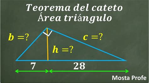 Teorema Del Cateto Fórmulas Para Encontrar Las Medidas De Los Lados Y