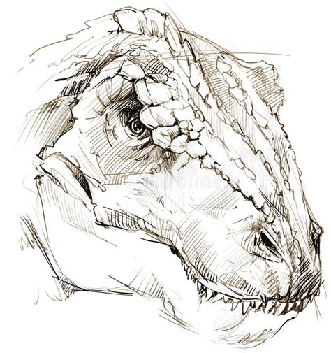 Dinosaur Sketch Dinosaur Drawing Dinosaur Art Cute Di