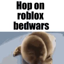 Roblox Bedwars Gonnuts GIF Roblox Bedwars Roblox Gonnuts GIFs Entdecken Und Teilen