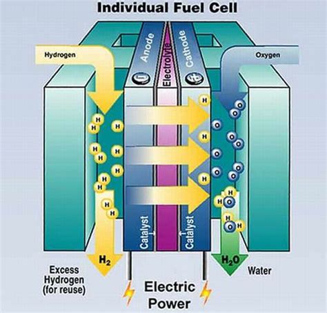 Fuel Cells And The Ioe