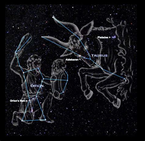 Constellation Orion And Taurus Constelações De Estrelas Constelação