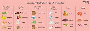 Pregnancy Diet Chart For 1st Trimester Morph Maternity
