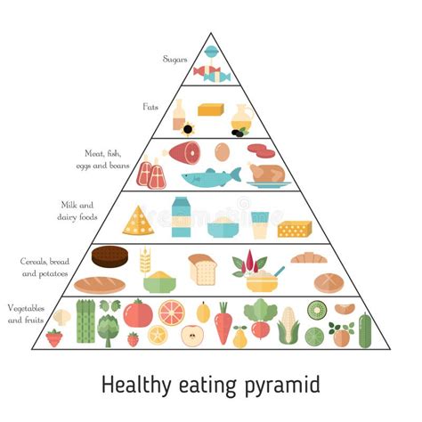 Best Foods For Weight Loss Stock Vector Illustration Of Pyramid