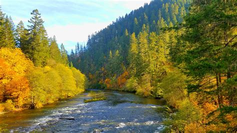 North Umpqua River In The Fall Oregon