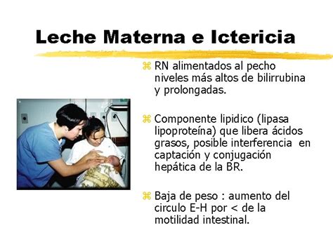 Hiperbilirrubinemia Ictericia Neonatal Patricia Trivio V Enfermerauach