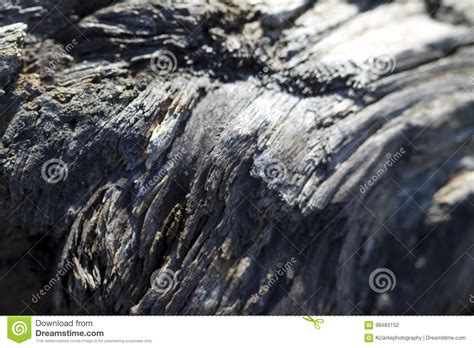 Old Driftwood Grunge Texture Stock Photo Image Of