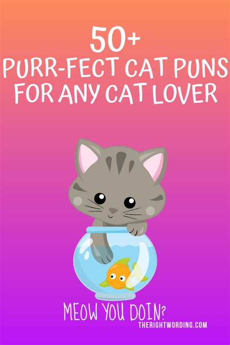 Hiss Terically Purr Fect Cat Puns For Any Cat Lover