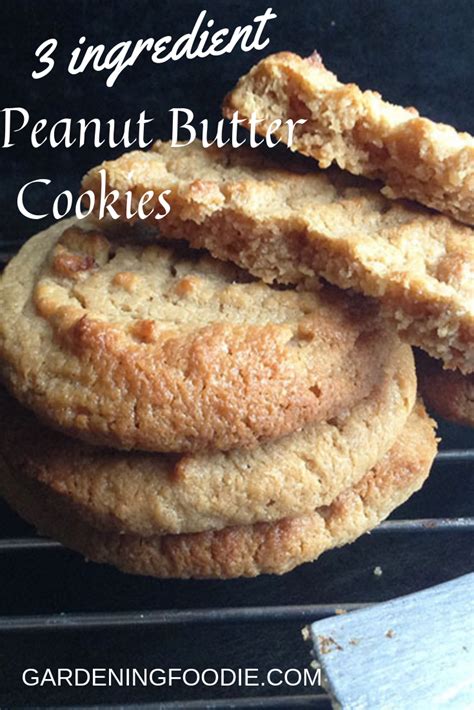 Jump to recipe 138 comments ». 3 Ingredient Cookies No Egg - Reciper My Wife