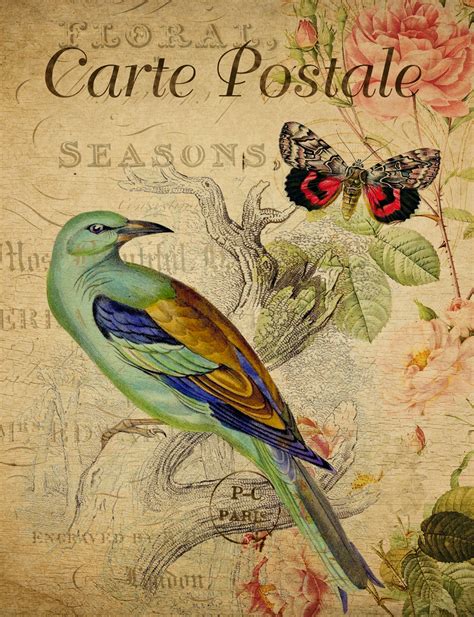 Bird Floral French Postcard Free Stock Photo Public Domain Pictures