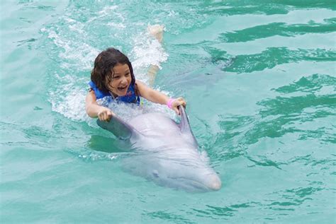 Blue Hole Secret Falls And Dolphin Swim Adventure Program From Ocho Rios