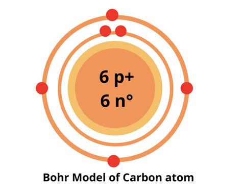 Carbon Bohr Model Diagram Steps To Draw Techiescientist